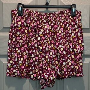 Victoria’s Secret PINK Womens Shorts SZ L